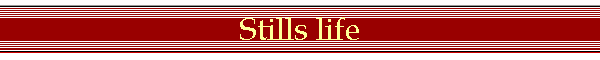 Stills life