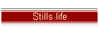 Stills life