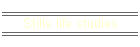 Stills life studies